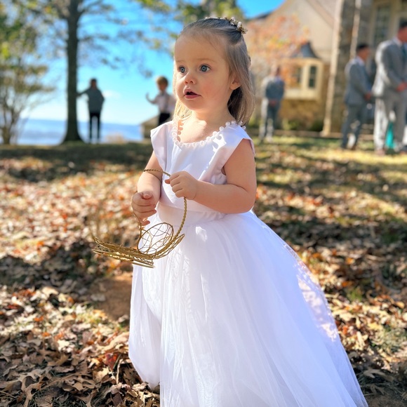 3T Flower Girl Dress - Picture 2 of 4